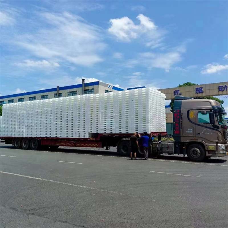 河北沧州东光县到玉林物流公司——一站式服务，让货运更轻松（玉林专线物流）